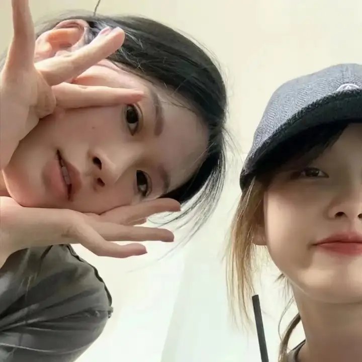 羊与钢的森林